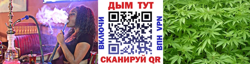 Наркошоп купить APVP  МАРИХУАНА  Амфетамин  Гашиш  КОКАИН  Меф  Гвардейск