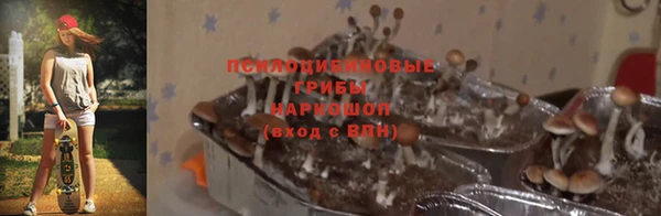 винт Заволжск