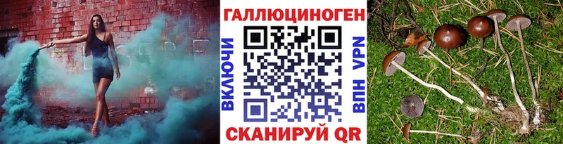 Галлюциногенные грибы Magic Shrooms Купить где Гвардейск