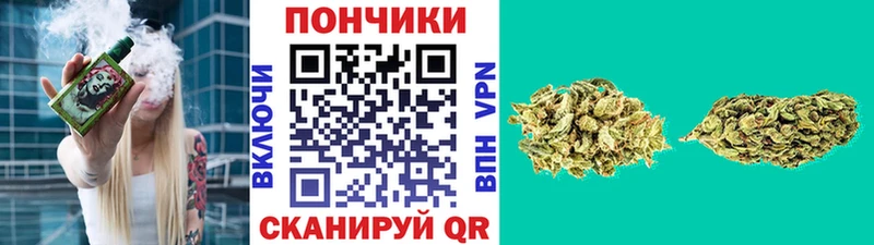 Купить  Гвардейск  Бошки Шишки тримм 